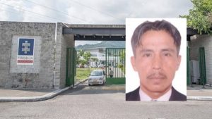 Lee más sobre el artículo Fiscalía judicializó a un hombre que le provocó ceguera a una yegua en Planadas