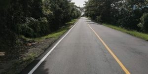 Lee más sobre el artículo Adjudicada licitación para trabajos de rocería en vías del Tolima