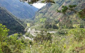 Lee más sobre el artículo ‘Siembrazul’ se consolida en Ibagué como un mecanismo para proteger el río Combeima