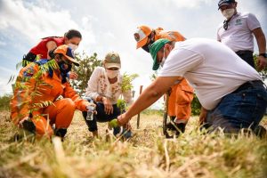Lee más sobre el artículo Cortolima celebró el Día Mundial del Árbol con 6.420 siembras