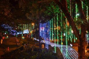 Lee más sobre el artículo Alumbrado navideño del 2020 tendrá una inversión de $500 millones