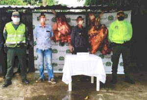 Lee más sobre el artículo Autoridades capturaron a dos hombres en Venadillo por el delito de abigeato