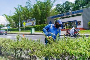 Lee más sobre el artículo 704 parques de Ibagué serán embellecidos en noviembre