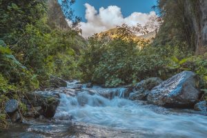 Lee más sobre el artículo Ibagué participa en Colombia Travel Expo 2020