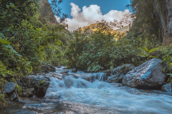 Lee más sobre el artículo Ibagué participa en Colombia Travel Expo 2020