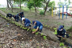 Lee más sobre el artículo Más de 1.200 plantas fueron sembradas en tres comunas de Ibagué