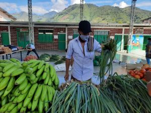 Lee más sobre el artículo Mercado Campesino Virtual de Rioblanco benefició a ocho asociaciones del municipio