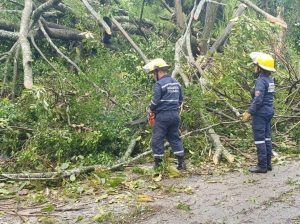Lee más sobre el artículo Autoridades atendieron emergencias ocasionadas por lluvias en Ibagué