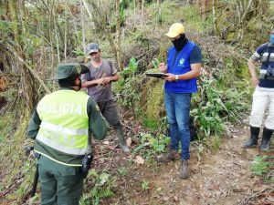 Lee más sobre el artículo Autoridades capturaron a un hombre por tala ilegal en cerros noroccidentales de Ibagué