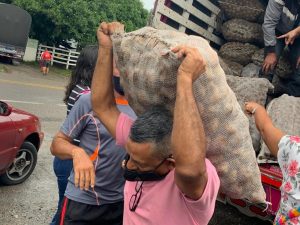 Lee más sobre el artículo Más de $10 millones se vendieron en la jornada de papicultores que se desarrolló en el norte del Tolima