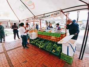 Lee más sobre el artículo Campesinos venderán sus productos este fin de semana en el Parque Murillo y en el barrio Ibagué 2000