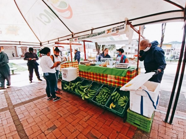 Lee más sobre el artículo Campesinos venderán sus productos este fin de semana en el Parque Murillo y en el barrio Ibagué 2000