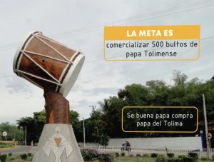 Lee más sobre el artículo Este sábado llega la papatón y la frijolatón al municipio de El Espinal
