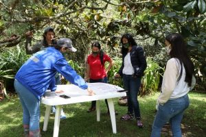 Lee más sobre el artículo Ibagué busca fortalecerse como destino para el avistamiento de aves