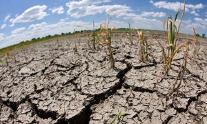 Lee más sobre el artículo Según el IDEAM, en el Tolima inicia la primera temporada de menos lluvias