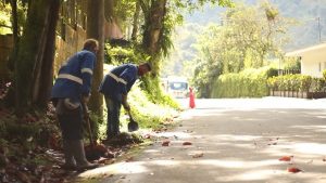 Lee más sobre el artículo 608 kilómetros de vías secundarias y terciarias del Tolima, están siendo intervenidas