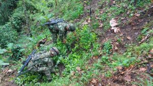 Lee más sobre el artículo Mil hojas de coca fueron erradicadas en zona rural del municipio de Rioblanco