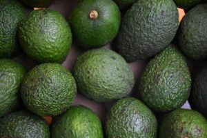 Lee más sobre el artículo Más de 2 millones de kilos de aguacate hass tolimense llegaron a mercados mundiales en el último año