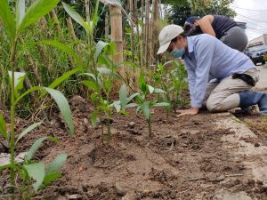 Lee más sobre el artículo Inicia la recuperación de zonas verdes en Ancón Tesorito, corregimiento 10 de Ibagué