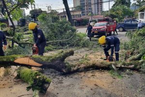 Lee más sobre el artículo Organismos de socorro de Ibagué están en alerta por aumento de lluvias