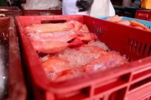 Lee más sobre el artículo Secretaría de Salud de Ibagué intensifica inspecciones a plazas de mercado durante Semana Santa