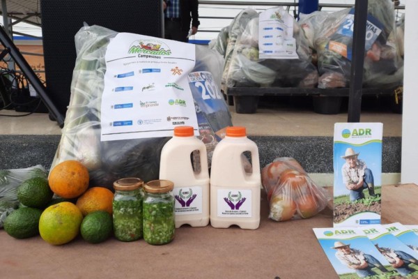 Lee más sobre el artículo Campesinos vendieron cerca de cinco toneladas de alimentos en Herveo