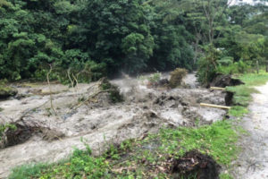 Lee más sobre el artículo Debido a niveles de turbiedad, Ibagué continúa sin servicio de agua