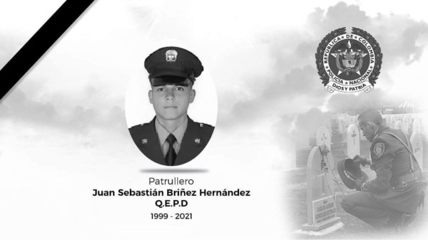 Lee más sobre el artículo Patrullero de la Policía Tolima fue asesinado en Cali