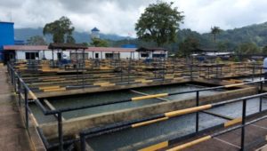 Lee más sobre el artículo Este martes se podrán presentar bajas presiones en el suministro de agua en Ibagué