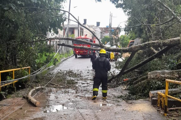 Lee más sobre el artículo Organismos de socorro atienden emergencias por lluvias en Ibagué