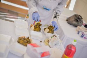 Lee más sobre el artículo Ibagué celebrará el ‘Día del Tamal’ con feria presencial