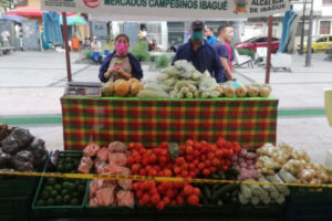 Lee más sobre el artículo ¡Aliste el canasto! Ibagué tendrá este viernes y sábado Mercados Campesinos