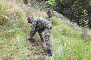 Lee más sobre el artículo Más de 500 palmas de cera fueron sembradas en el Cañón del Combeima