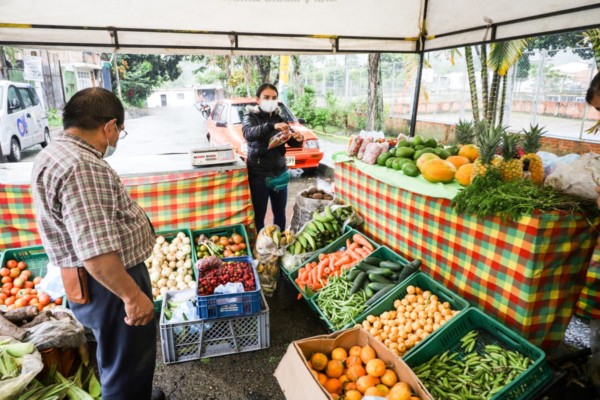 Lee más sobre el artículo ¡Aliste el canasto! Este viernes y sábado habrán Mercados Campesinos en Ibagué