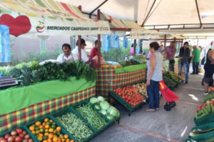 Lee más sobre el artículo Este viernes podrá disfrutar de los Mercados Campesinos en el parque de Belén y barrio Interlaken