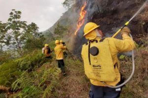 Lee más sobre el artículo Inicia el fortalecimiento al cuerpo de bomberos en el Tolima