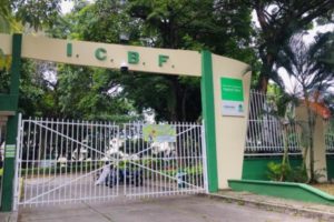 Lee más sobre el artículo ICBF abre convocatoria para formar Hogares Sustitutos en el Tolima