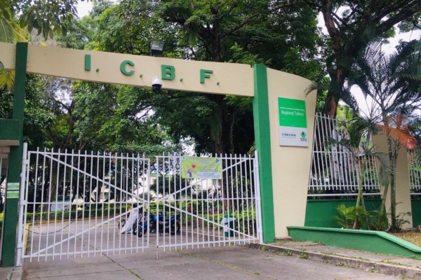 En este momento estás viendo ICBF abre convocatoria para formar Hogares Sustitutos en el Tolima