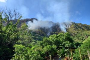 Lee más sobre el artículo Cunday, Suárez y Purificación se vieron afectados por incendios forestales el fin de semana