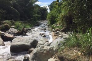 Lee más sobre el artículo En Ibagué se adelantará doble jornada de limpieza de fuentes hídricas