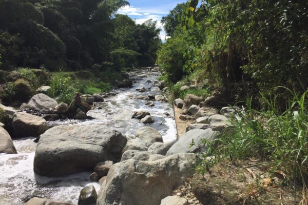 Lee más sobre el artículo En Ibagué se adelantará doble jornada de limpieza de fuentes hídricas