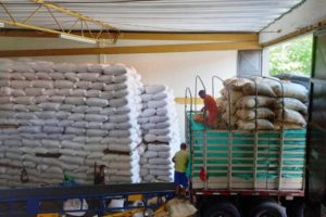 Lee más sobre el artículo A través de la asociatividad, caficultores de Ibagué vendieron más de 2 mil kilos sin intermediarios
