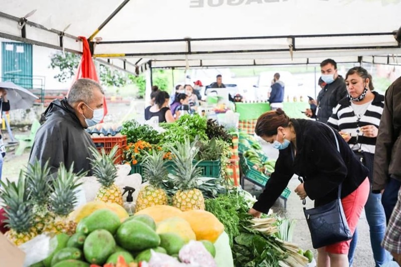 Lee más sobre el artículo ¡Aliste el canasto! Ibagué tendrá Mercados Campesinos este viernes y sábado