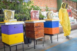 Lee más sobre el artículo Cortolima fortalece a mujeres y jóvenes que impactan positivamente el ambiente en el Tolima