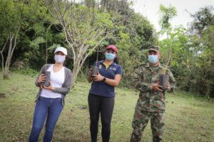 Lee más sobre el artículo Tolima alcanza el 50% de la meta de siembra de un millón de árboles