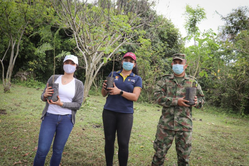 Lee más sobre el artículo Tolima alcanza el 50% de la meta de siembra de un millón de árboles