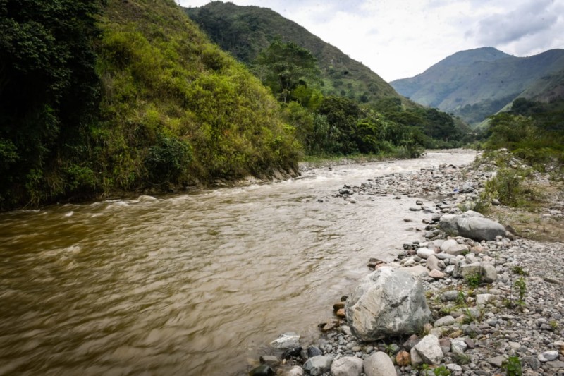Lee más sobre el artículo Más de $14 millones deberá pagar habitante de El Espinal a Cortolima por daños ambientales