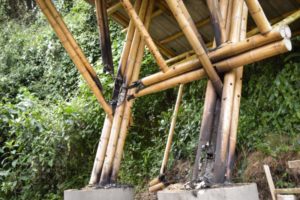 Lee más sobre el artículo Cortolima rechaza actos vandálicos realizados en el puesto de control El Palmar