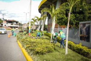 Lee más sobre el artículo ‘Guardianes Verdes’ embellecerán las 13 comunas de Ibagué