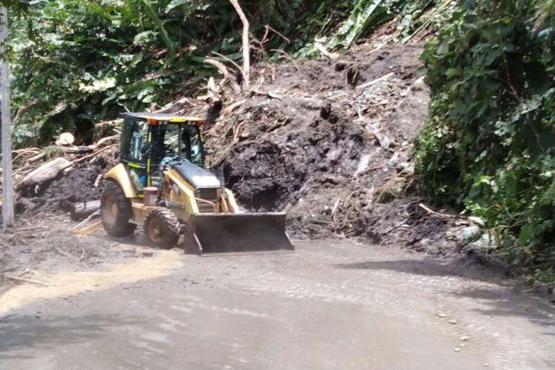 Lee más sobre el artículo Gobernación del Tolima atiende y recupera varios ejes viales del departamento